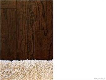 The hardwood floors and flawless carpet are cool i