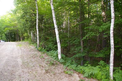 Lot#2 Fernald Hills Way Rd, Stow, ME 04037 - photo 2