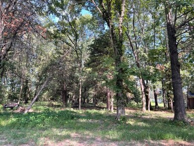 S. 585 Trail 3