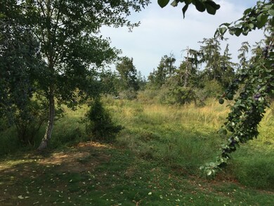 535 Connelly St, Raymond, WA 98577 - photo 4