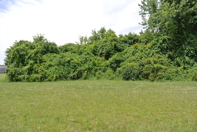 10852 Licking Trails Rd, Thornville, OH 43076 - photo 6