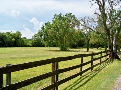 2130 County Road 163, Alvin, TX 77511 - photo 5