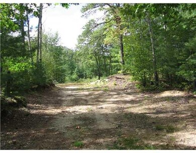 Land. Old woods roads meander...