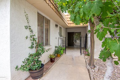 Front Patio