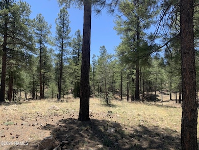 2343 E Del Rae Dr unit 176, Flagstaff, AZ 86001 - photo 2