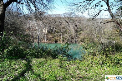 1321 Gruene Leaf Dr, New Braunfels, TX 78130 - photo 3