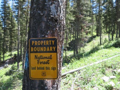 Luna Quartz Hill Rd, Wise River, MT 59762 - photo 2