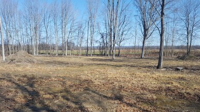 486 Main St, Hatfield, MA 01038 - photo 4