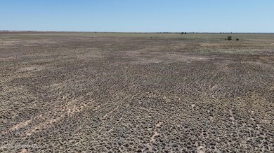 dji_fly_20250408_145514_0335_17441415789