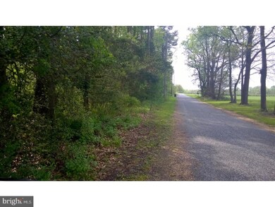 L:30 03 Mickels Mill Rd, Quinton, NJ 08302 - photo 7