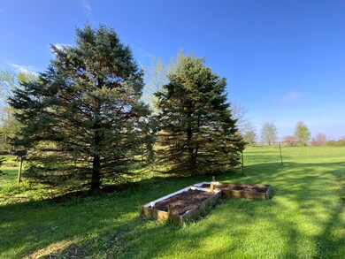 IMG_0591
