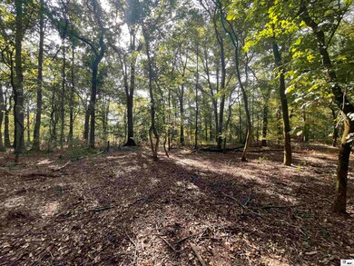 5046 Louisiana 139, Monroe, LA 71203 - photo 7