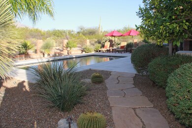 New Pool, Patios