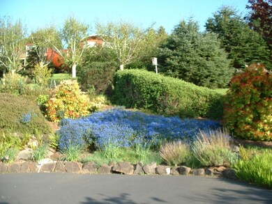 Spring Views 2