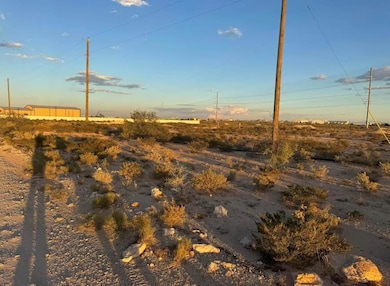 700 N Patrick, Odessa, TX 79763 - photo 4