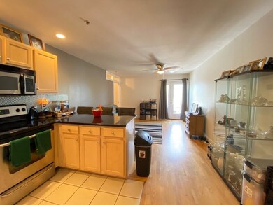 25 Alpine St unit 35, Hyde Park, MA 02136 - photo 3