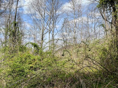 Tbd Orby Cantrell Hwy, Wise, VA 24293 - photo 4