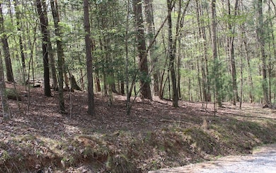 L3475 Cherry Ct, Ellijay, GA 30540 - photo 3