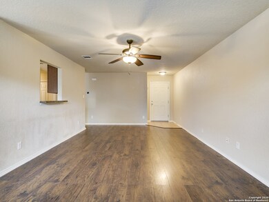 12007 Agnew Ridge, San Antonio, TX 78254 - photo 4
