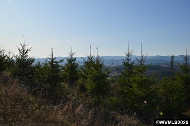 22000 Highway 47 (Block), Gaston, OR 97119 - photo 2