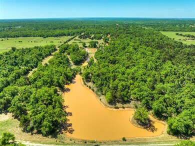 Aerial view featuring a forest view