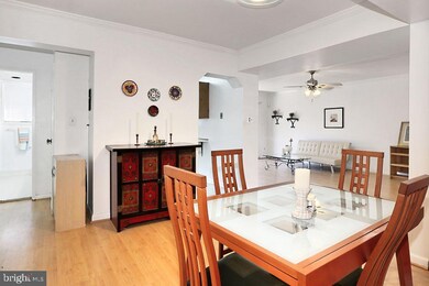 207 Skyhill Rd unit 1, Alexandria, VA 22314 - photo 7