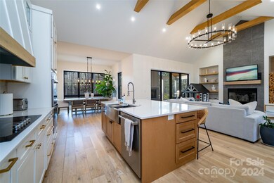 41 Mountain Shadows Dr, Leicester, NC 28748 - photo 6