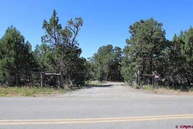 20992 Uintah Rd, Cedaredge, CO 81413 - photo 4