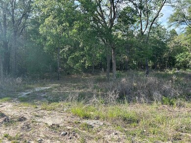 00 SE 73rd Place unit 67, Morriston, FL 32668 - photo 2