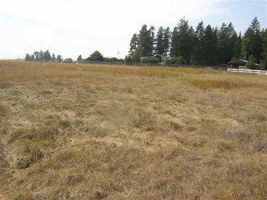 0 W Akers Ln, Colbert, WA 99005 - photo 5