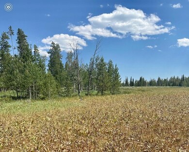 Photo of actual land and view from land