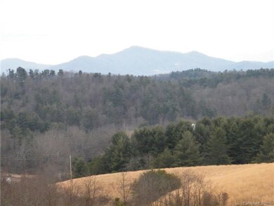 12.406 acres Turkey Creek Rd, Leicester, NC 28748 - photo 3