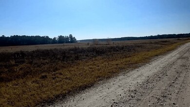 TBD Clearlake Ln, Crockett, TX 75835 - photo 6