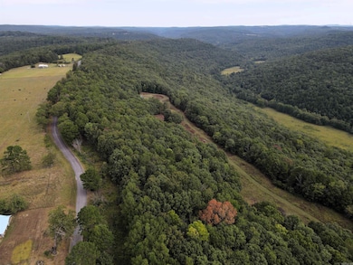 5463 Lo Gap Rd, Clinton, AR 72031 - photo 3