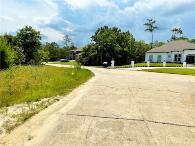 View from the front of the lot of the corner of Whitty Dr, and Natalie Ct.