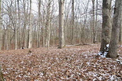 00 N Maysville Ln, Mount Vernon, IL 62864 - photo 7