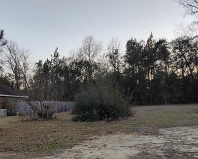 NHN Lot 39 Magenta Ln, Picayune, MS 39466 - photo 3