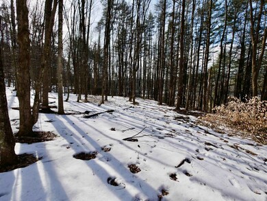 202 River Rd, Lyme, NH 03769 - photo 6