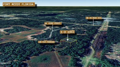 Fort McCoy, Fort McCoy, FL 32134 - photo 4