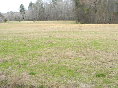 Open Field 2 (1)