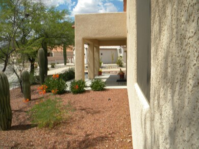Side Yard & Patio