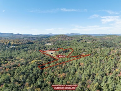 63 Big Story Ln, Grafton, VT 05146 - photo 2