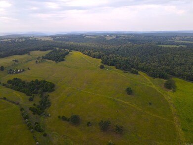 220 +/- Plumlee Rd, Compton, AR 72624 - photo 3