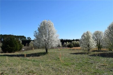 00 Evondale Rd, Crouse, NC 28033 - photo 6