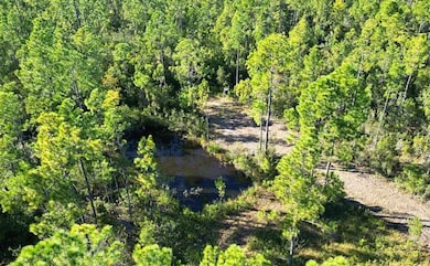 0 N A unit MFRO6230022, Fountain, FL 32438 - photo 5