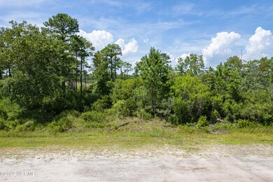 Lot 29 W South Shore, Boiling Spring Lakes, NC 28461 - photo 2