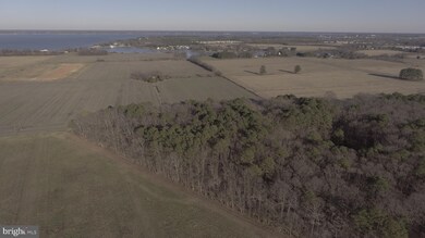 0 Horns Point Rd unit MDDO126986, Cambridge, MD 21613 - photo 2