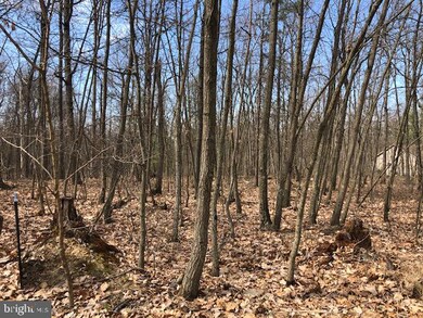 0 Means Hollow Rd unit PACB122764, Shippensburg, PA 17257 - photo 3