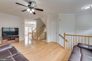 43448 Jubilee St, Chantilly, VA 20152 - photo 5