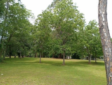 219 Lockett Station Rd, Albany, GA 31721 - photo 5